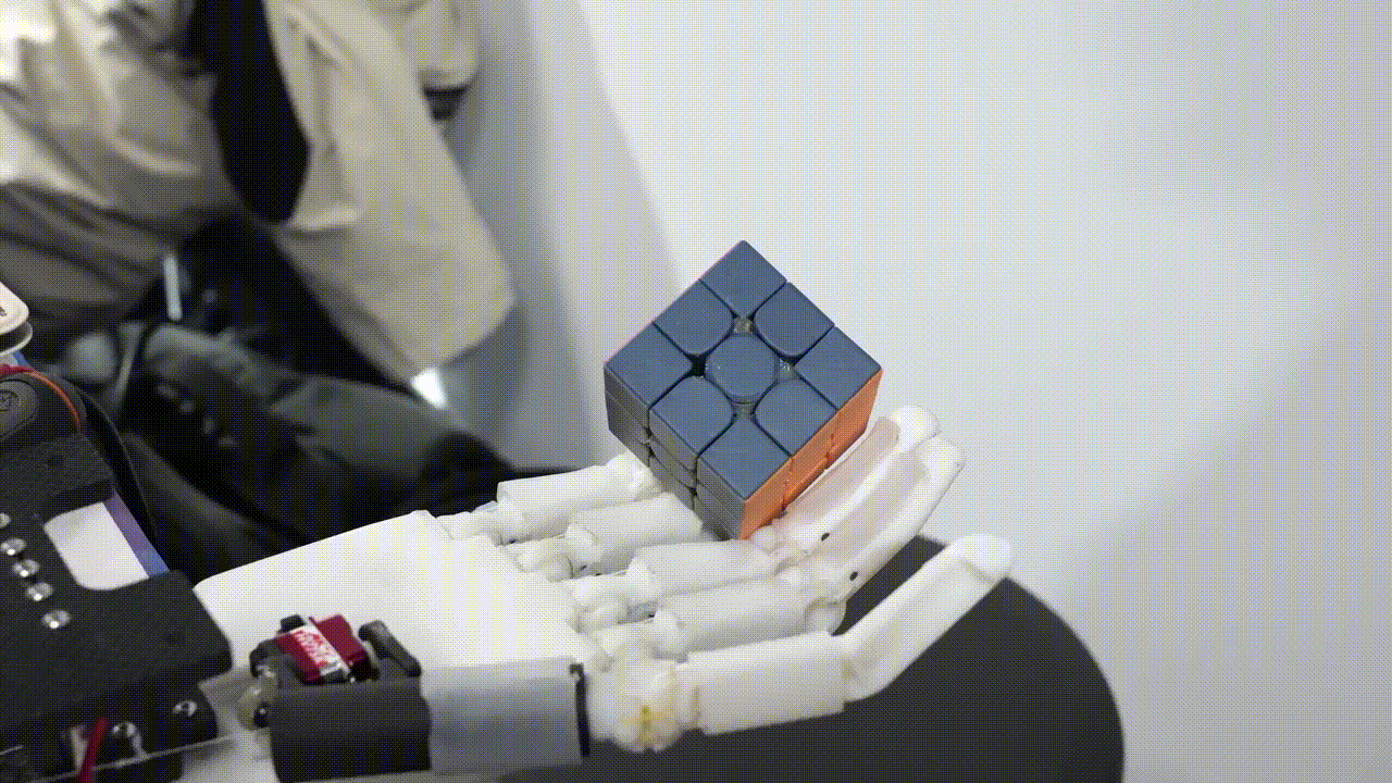 20250126_101748_854.gif 5.gif.gif