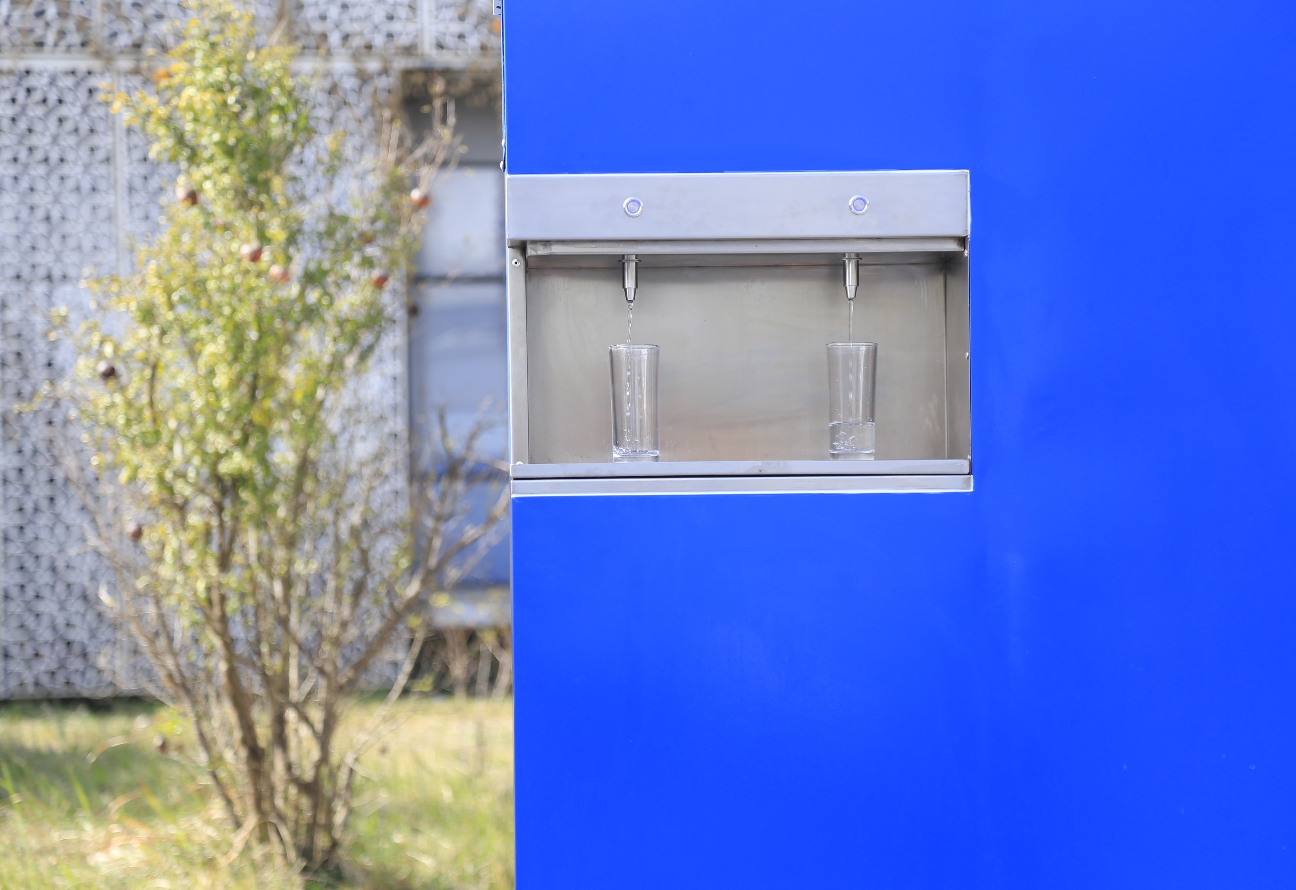 1764324424917320.jpg 王如竹1.jpg