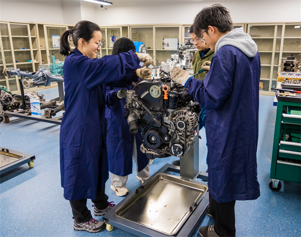 1680685532484725.jpg 3.jpg